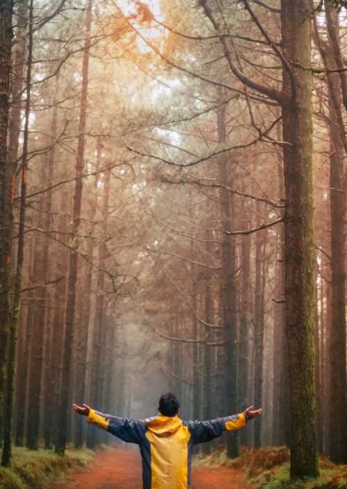 Manifestation για να έλξεις όσα επιθυμείς