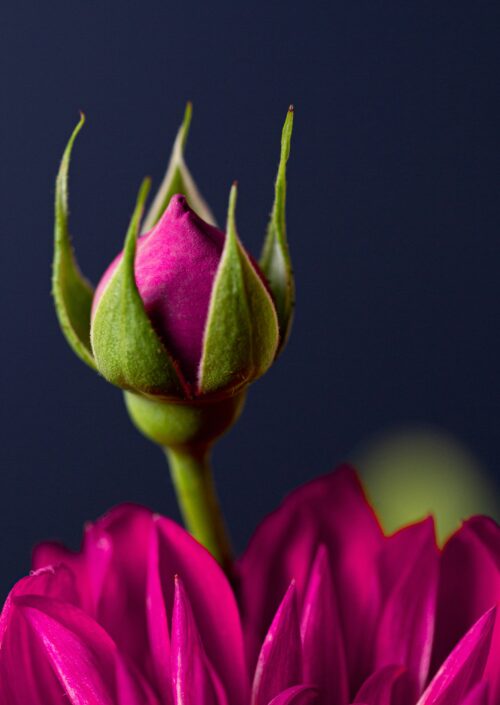 Καλύτερες σχέσεις σε 9′